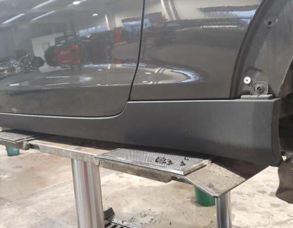 Sill Trim MINI MINI PACEMAN (R61)