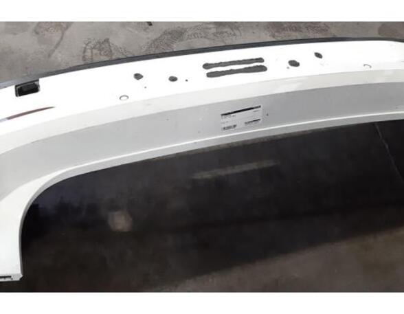 Bumper VW GOLF VIII (CD1)