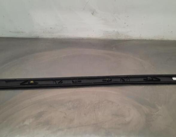 Trim Strip Bumper BMW 1 (F21)