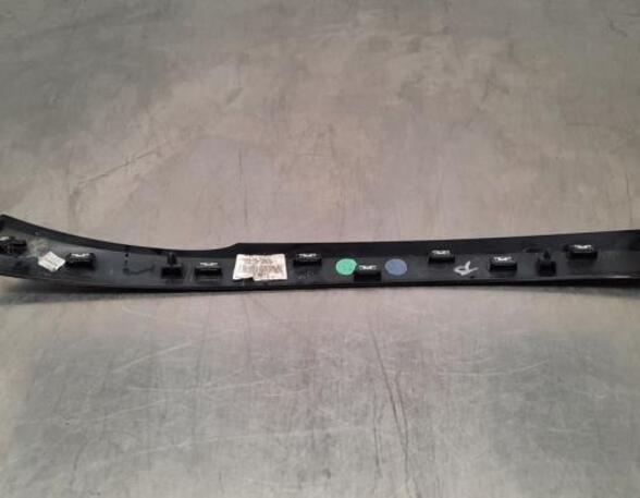 Trim Strip Bumper RENAULT SCÉNIC IV (J9_), RENAULT GRAND SCÉNIC IV (R9_)