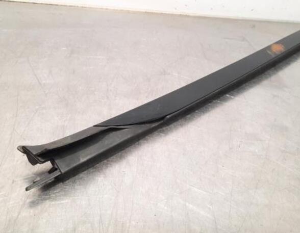 Trim Strip Door BMW X5 (G05, F95)