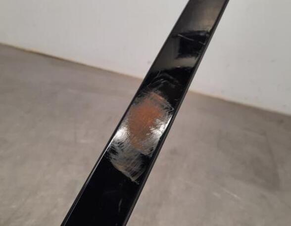 Trim Strip Door BMW X5 (G05, F95)