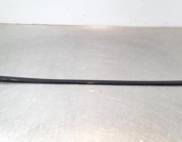 Trim Strip Door BMW X5 (G05, F95)