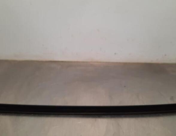 Trim Strip Door TESLA MODEL Y (5YJY), TESLA MODEL S (5YJS)