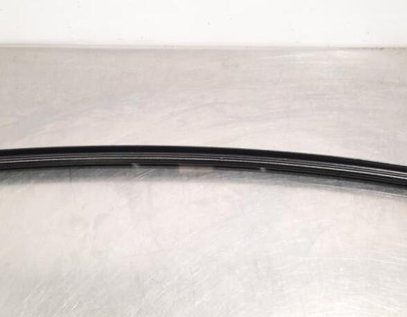 Trim Strip Door BMW X5 (G05, F95)