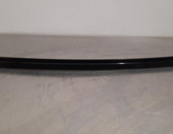 Trim Strip Door BMW X5 (G05, F95)