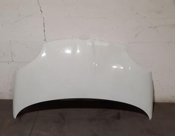 Bonnet FIAT PANDA (312_, 319_), FIAT PANDA VAN (312_, 519_), LANCIA YPSILON (312_)