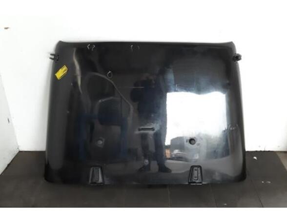 
Motorhaube Jeep Wrangler III JK  P15171512
