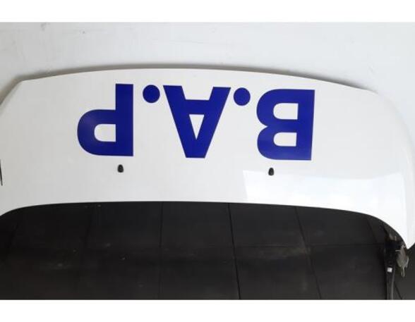 Bonnet TOYOTA PROACE Van (MDZ_), TOYOTA PROACE VERSO Bus (MPY_), TOYOTA PROACE Bus (MDZ_)