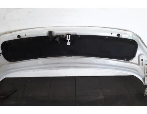 Bonnet TOYOTA PROACE Van (MDZ_), TOYOTA PROACE VERSO Bus (MPY_), TOYOTA PROACE Bus (MDZ_)