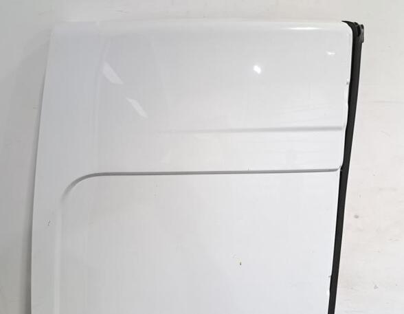 Rear Door RENAULT MASTER III Van (FV)