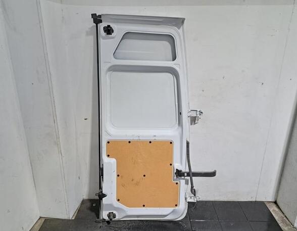 Rear Door RENAULT MASTER III Van (FV)