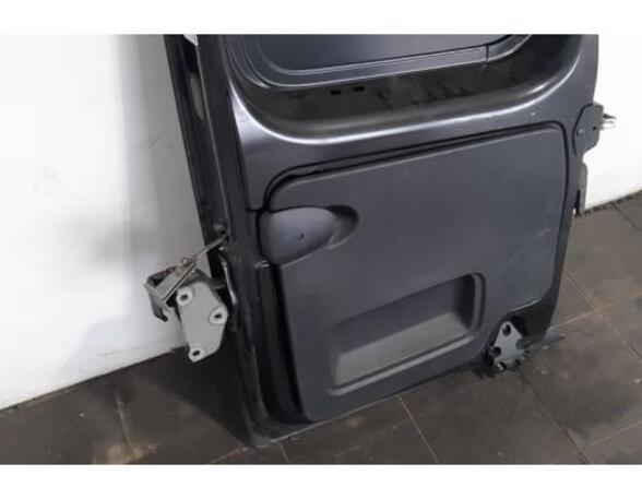 Rear Door RENAULT TRAFIC III Van (FG_)