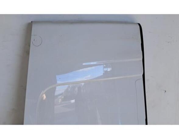 Rear Door RENAULT MASTER III Van (FV)