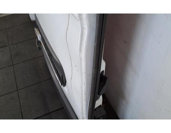 Rear Door RENAULT MASTER III Van (FV)