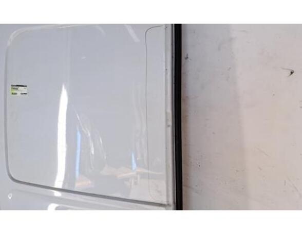 Rear Door RENAULT MASTER III Van (FV)