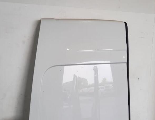 Rear Door RENAULT MASTER III Van (FV)