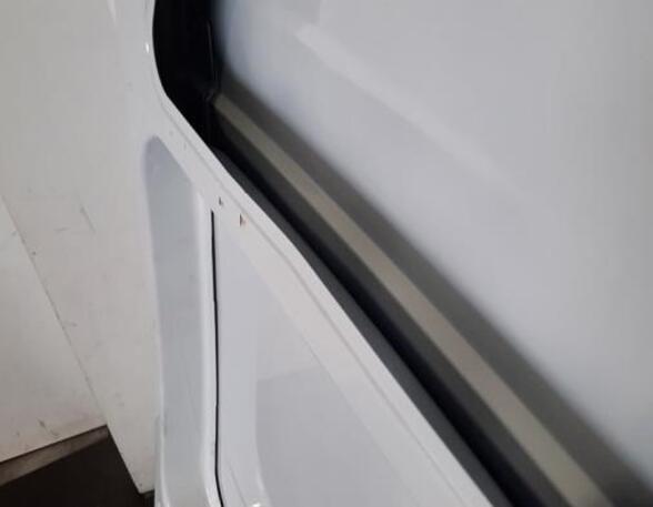 Rear Door RENAULT MASTER III Van (FV)