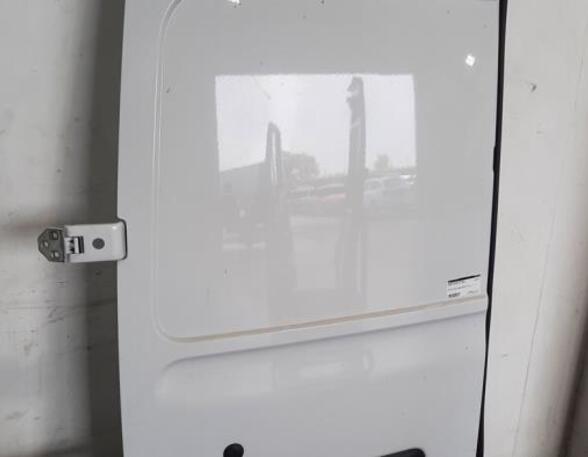 Rear Door RENAULT MASTER III Van (FV)