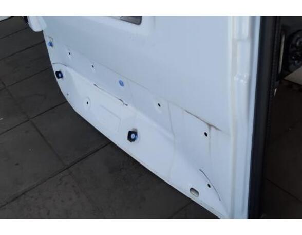 Rear Door RENAULT MASTER III Van (FV)