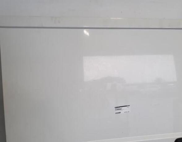 Sliding Door PEUGEOT BOXER Van, OPEL MOVANO C Van (U9)