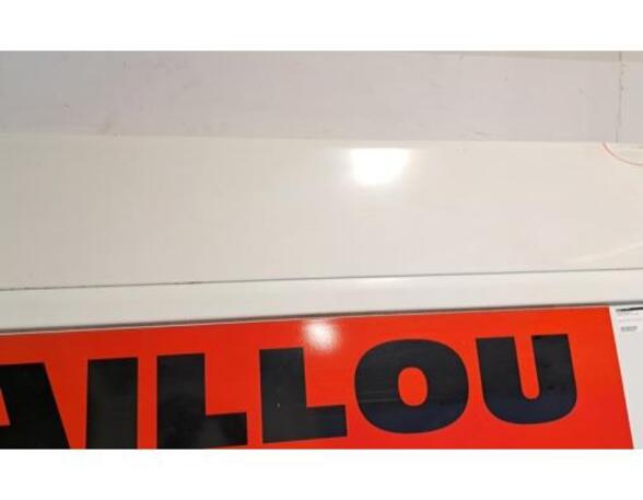 Sliding Door PEUGEOT BOXER Van, OPEL MOVANO C Van (U9)