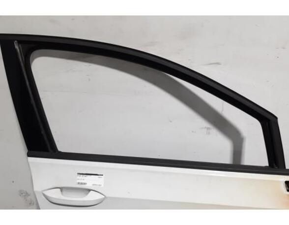 Door VW GOLF VIII (CD1)