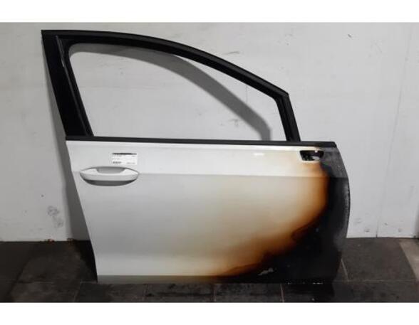 Door VW GOLF VIII (CD1)