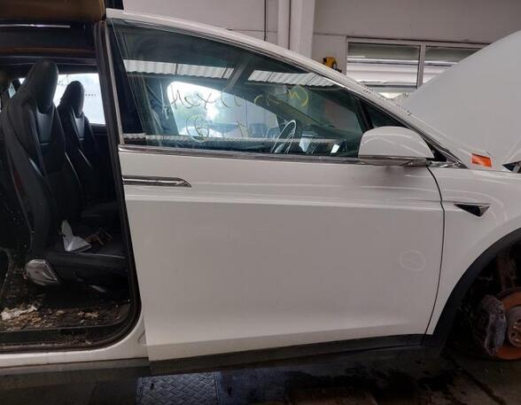 Door TESLA MODEL X (5YJX)