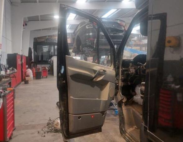 Door MERCEDES-BENZ SPRINTER 5-t Platform/Chassis (906)