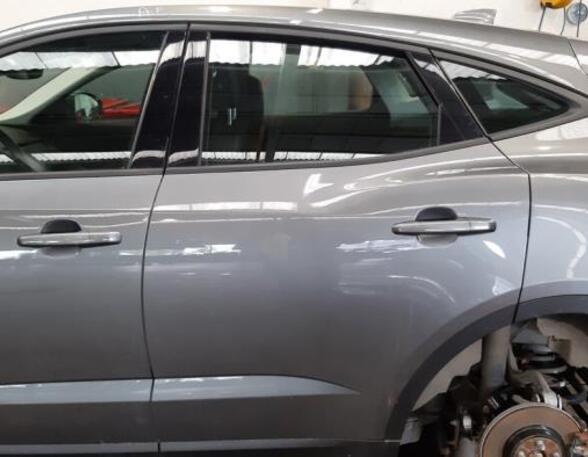 Door JAGUAR E-PACE (X540)