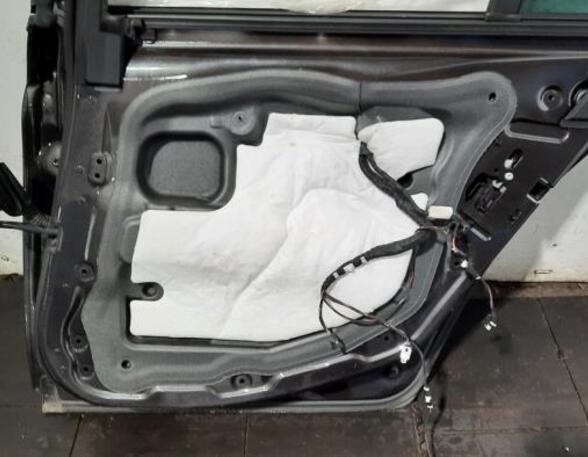 Door BMW 5 Touring (F11)