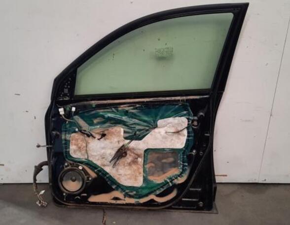 Door TOYOTA RAV 4 III (_A3_)