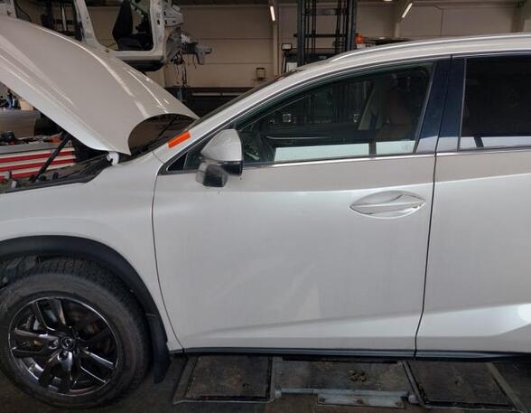 Door LEXUS NX (_Z1_)