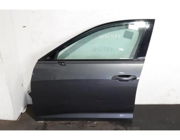 Door AUDI A6 C8 (4A2)