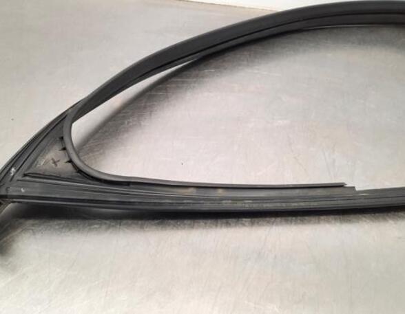 Door Seal AUDI A3 Sportback (8YA)