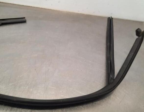 Door Seal AUDI A3 Sportback (8YA)