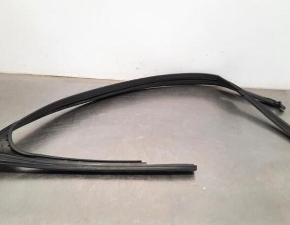 Door Seal AUDI A3 Sportback (8YA)