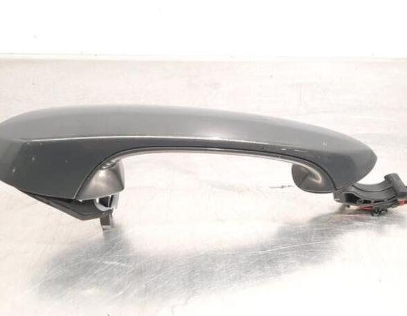 Door Handle BMW X5 (G05, F95)