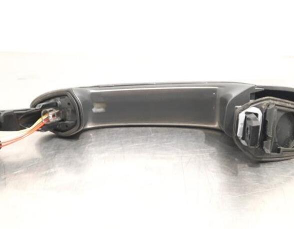 Door Handle BMW X5 (G05, F95)