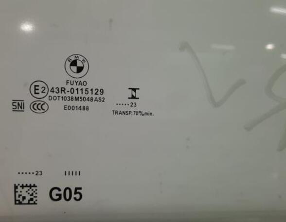 Door Glass BMW X5 (G05, F95)