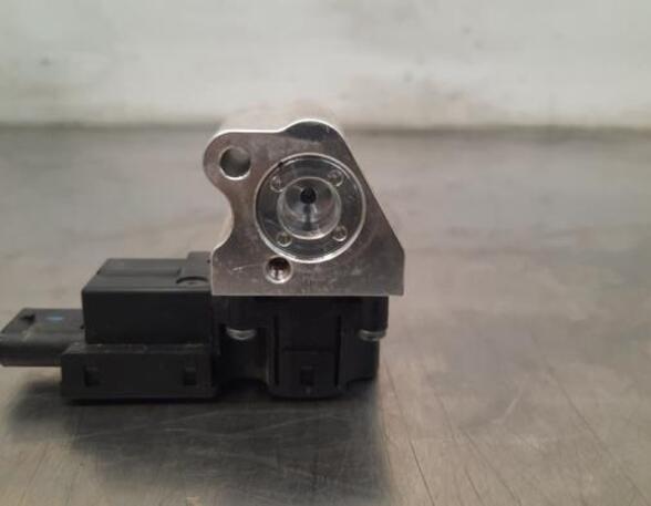 Air Conditioning Expansion Valve CUPRA BORN (K11)