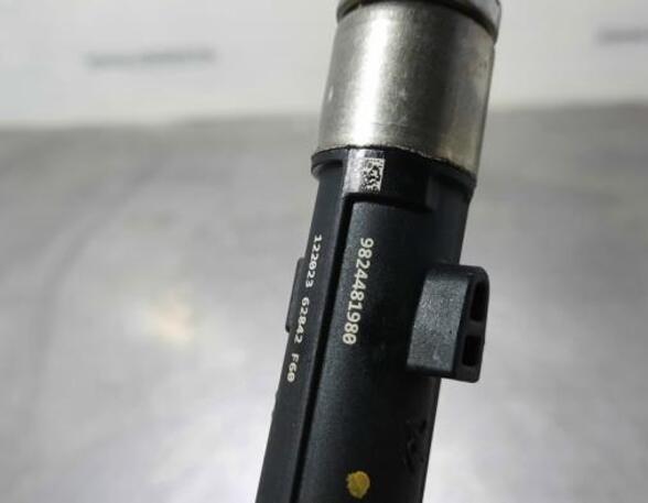 Injector Nozzle CITROËN C4 III (BA_, BB_, BC_)