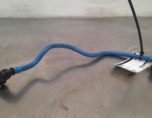 Fuel Line AUDI A4 (8W2, 8WC, B9)