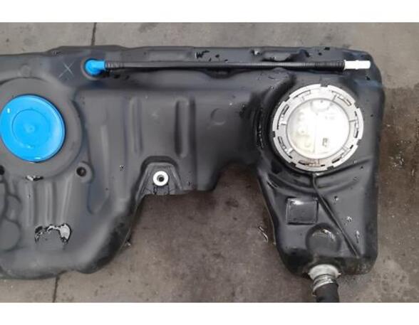 Fuel Pump BMW 4 Convertible (F33, F83)