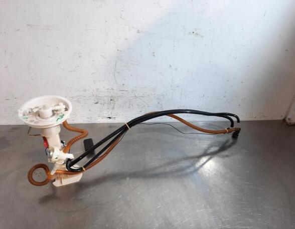 Fuel Pump BMW X5 (E70)