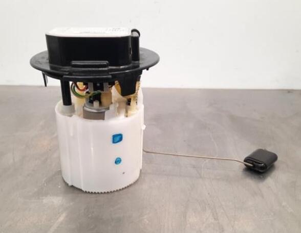 Fuel Pump DS DS 4 II (F_, FB_, F3_)