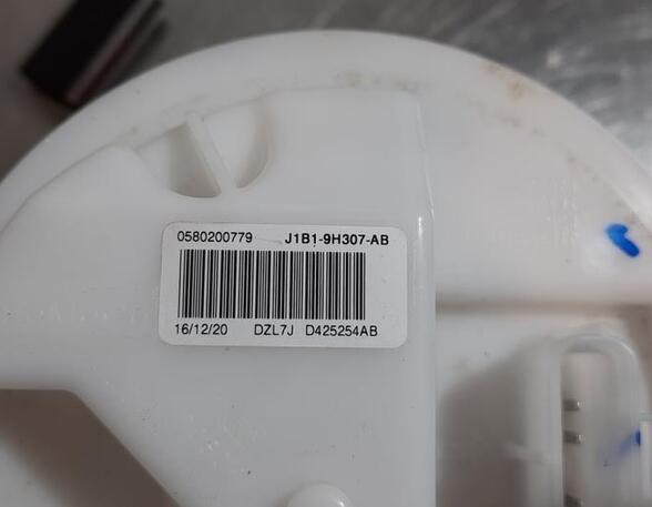 Fuel Pump FORD FIESTA VII (HJ, HF), FORD PUMA (J2K, CF7)