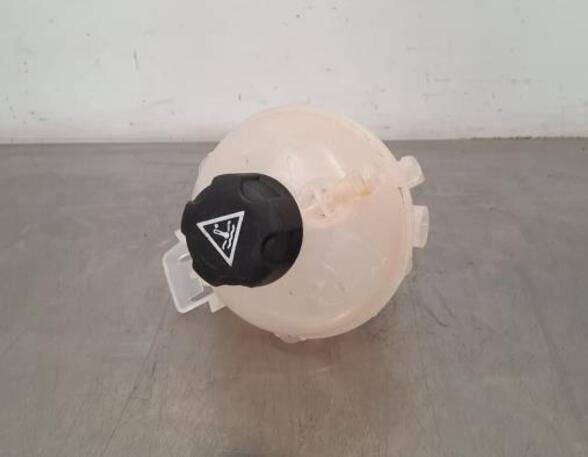 Coolant Expansion Tank DS DS 4 II (F_, FB_, F3_)