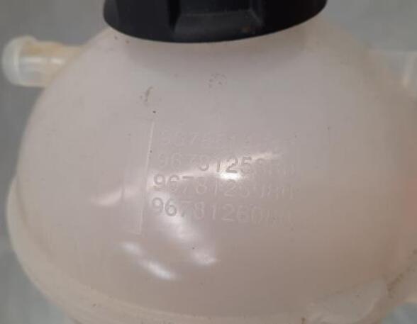 Coolant Expansion Tank DS DS 4 II (F_, FB_, F3_)